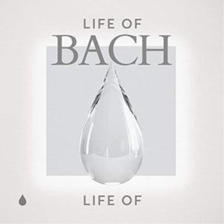 VA - Life of Bach (2019)