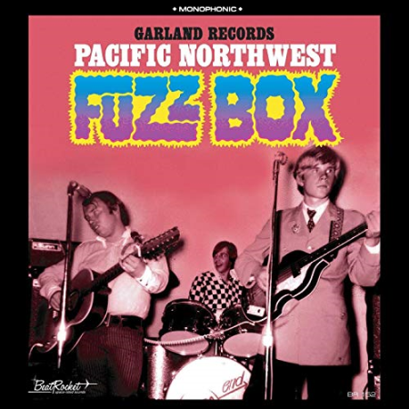VA - Garland Records: Pacific Northwest Fuzz Box (2019) FLAC