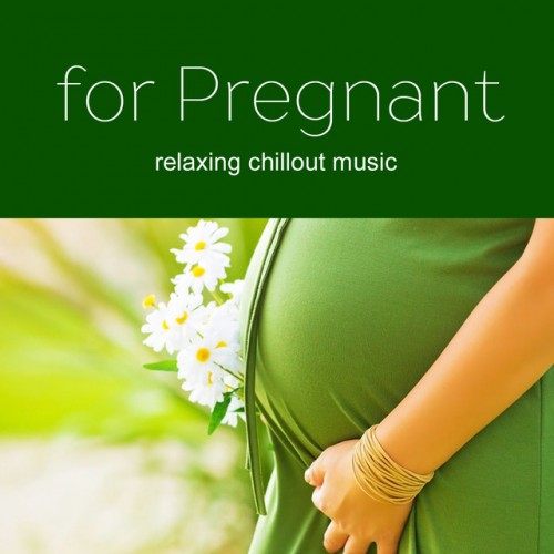 VA - Music for Pregnant Women: Soft Relaxing Chill for those expecting a baby (2017)