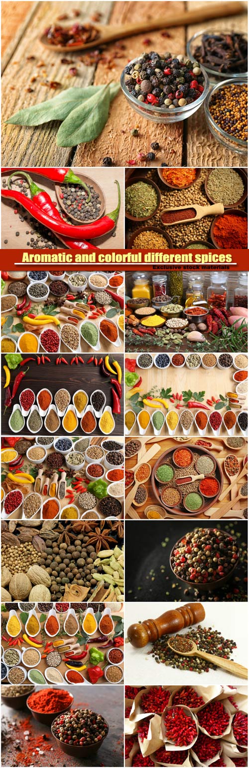 Aromatic and colorful different spices