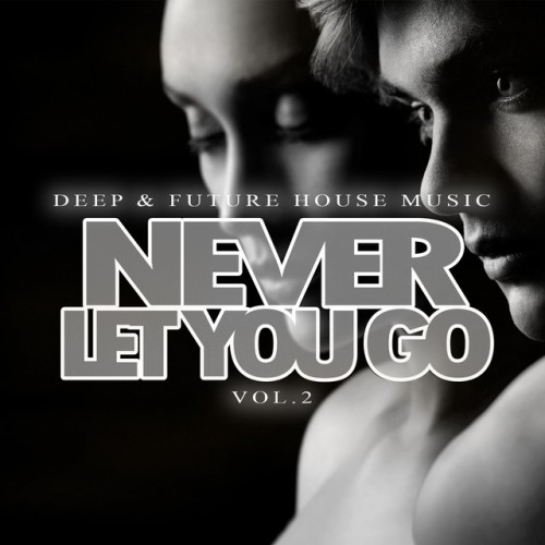 VA - Never Let You Go: Deep and Future House Music Vol.2 (2017)
