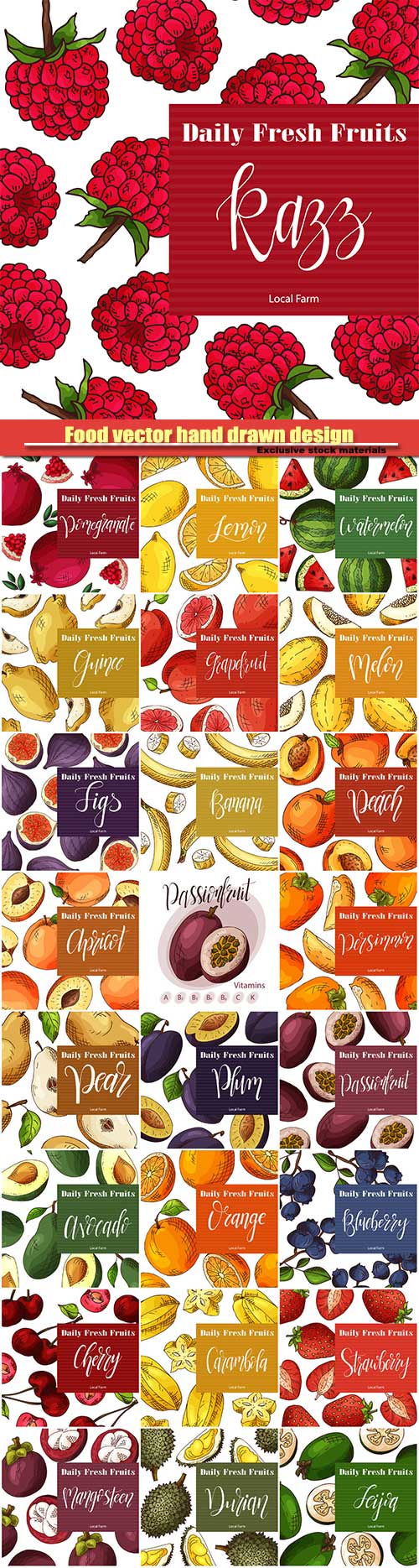 Food vector hand drawn design with fruit