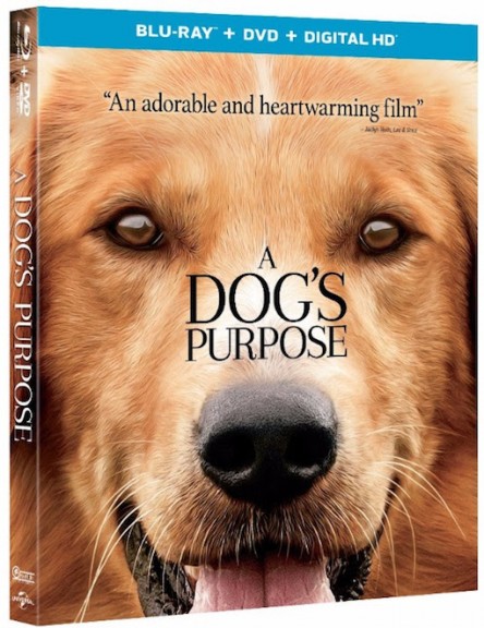 A Dogs Purpose 2017 720p BluRay AC3 x264-ZQ