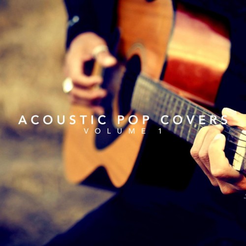 VA - Acoustic Pop Covers Volume 1 (2017)