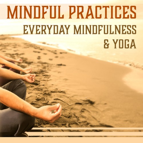 VA - Mindful Practices: Everyday Mindfulness and Yoga (2017)
