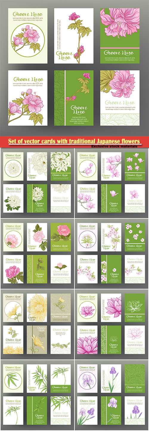 Set of vector cards with traditional Japanese flowers #2