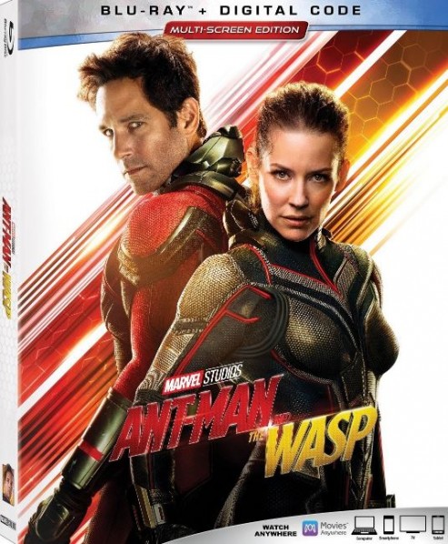 Ant-Man and The Wasp 2018 720p BluRay DD5 1 x264-Geek