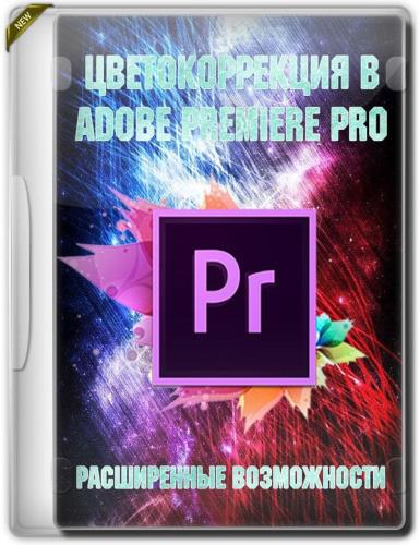 Цветокоррекция в Adobe Premiere PRO. Расширенные возможности (2019) HDRip