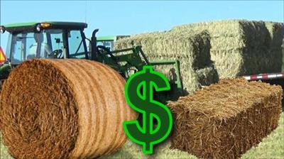 How to Start a Successful Hay Bale Business (Master Class)
