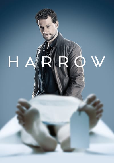 Harrow S02E08 HDTV x264-CCT[TGx]