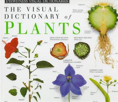 Visual Dictionary of Plants (Eyewitness Visual Dictionaries)