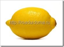 Сорт лимона