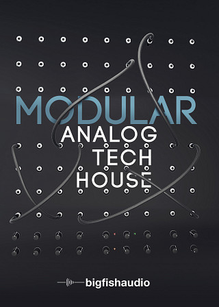 Big Fish Audio - Modular: Analog Tech House (KONTAKT)