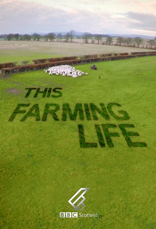 This Farming Life S03e07 Internal 720p Web H264 webtube