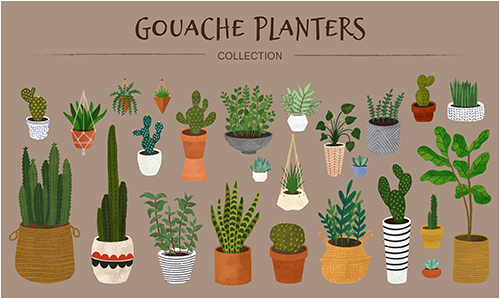 Planters Collection - Gouache Set