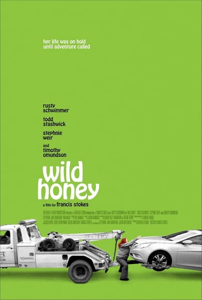 Wild Honey 2017 1080p AMZN WEB-DL DDP2 0 H 254-IJP