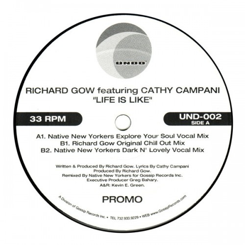 Richard Gow Feat. Cathy Campani - Life is Like (Native New Yorkers Explore Your Soul Vocal Mix).mp3