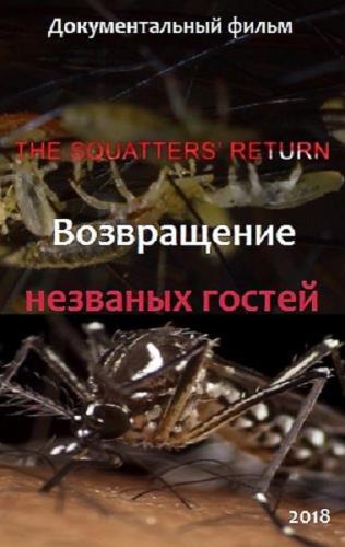 Возвращение незваных гостей / The squatters' Return (2018) HDTVRip 720p