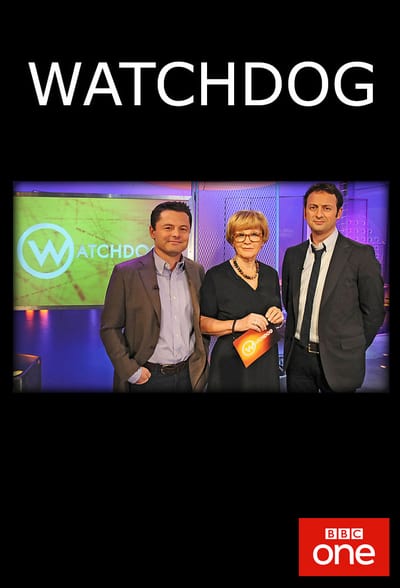 Watchdog S42E05 HDTV x264-LiNKLE