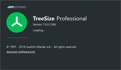 TreeSize Professional 7.1.3.1467 Multilingual