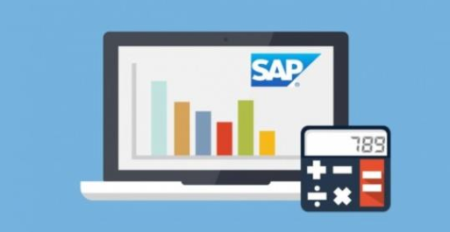 Learn SAP Financial Accounting - Online Training