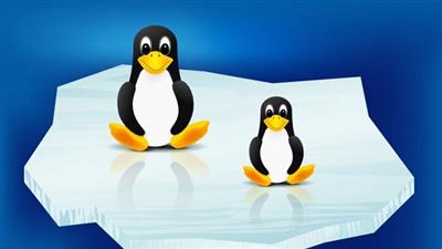 UNIX and Linux Operating System - Beginner & Advanced