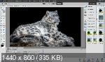 Adobe Photoshop Elements & Premiere Elements 2020 v18.0