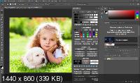 Zone System Express Panel 5.0 for Adobe Photoshop